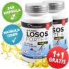 AKCIJA: Losos Forte Plus s Omega 3 - 2x 120 kapsula (240 kapsula) Tinkture, ulja, vitamini 